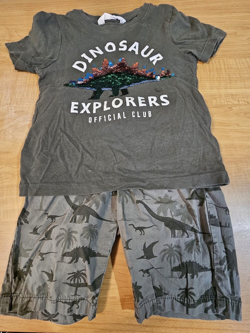 Kids Dinosaur Explorers Pajama Set - Green